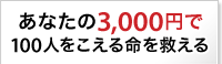 国境なき医師団"